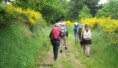 /album/gilhoc-par-les-cretes-jeudi-22-mai-9-h/2025-05-22-gilhoc-sur-ormeze-10-jpg/